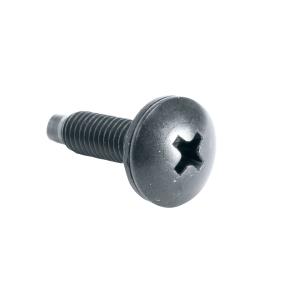 100PC 10-32 RACK SCREWS W